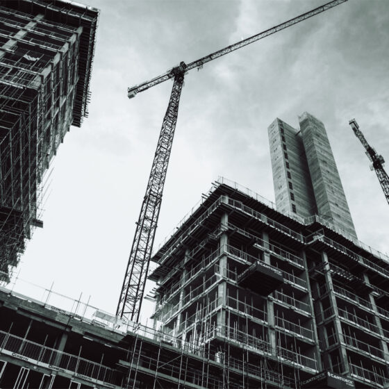 Building Information Management in Construction: Insights and Predictions from a Digital Construction Agency